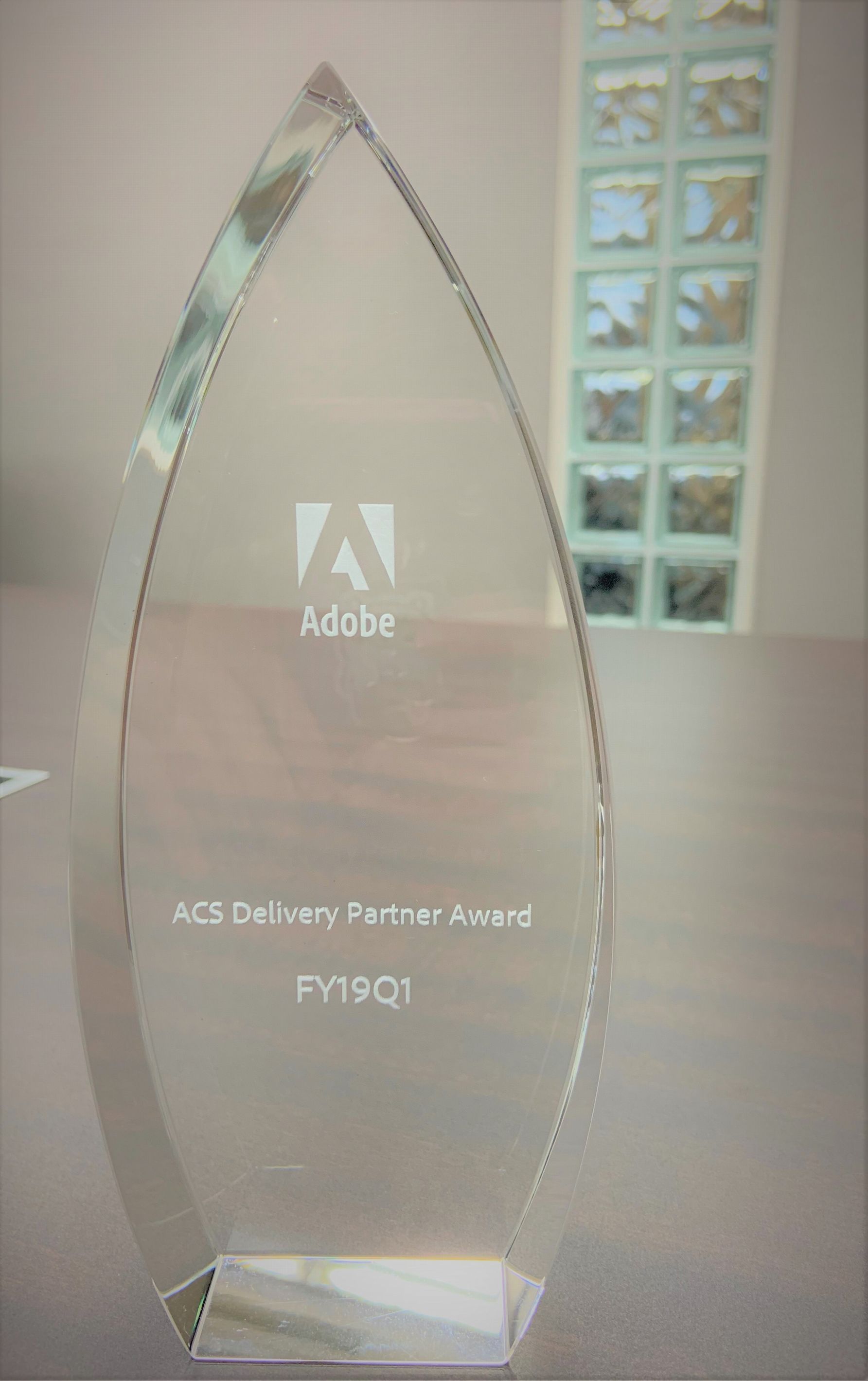 ACS Delivery Partner Award
